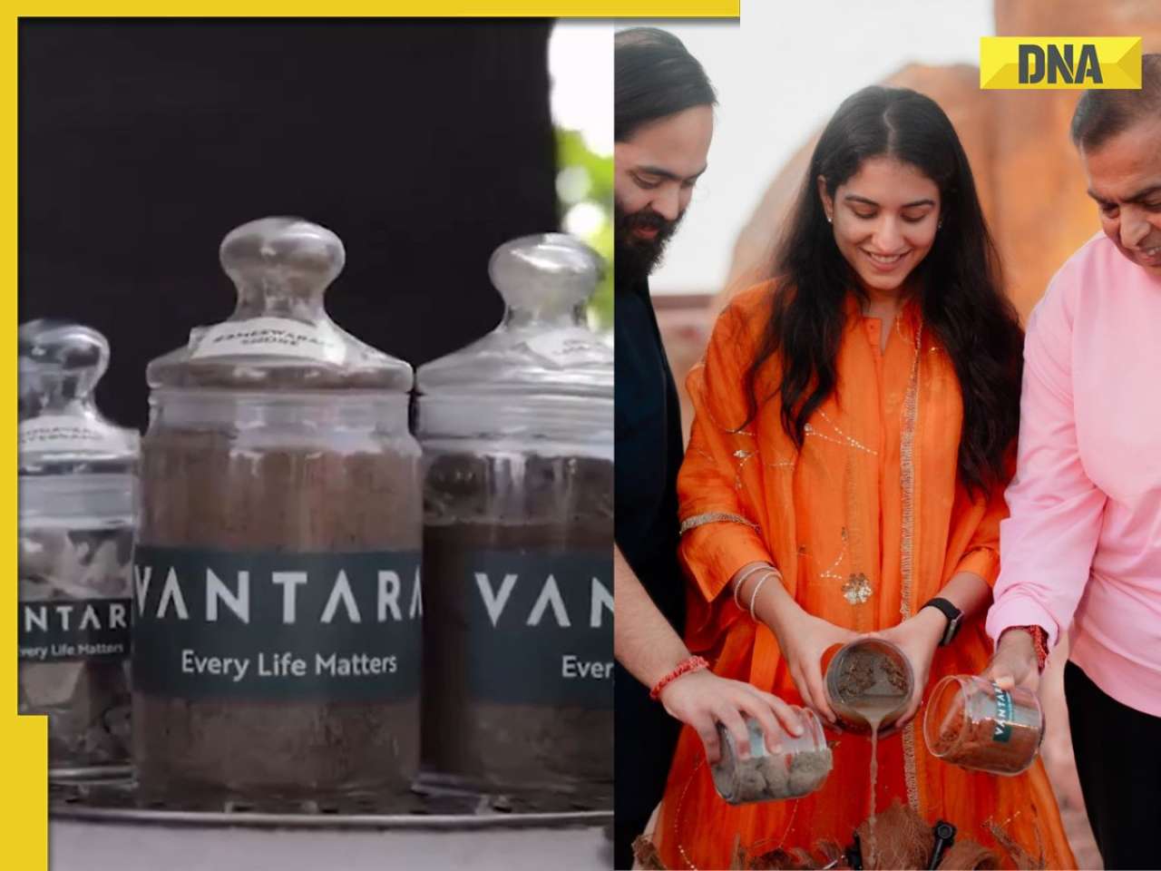 Anant Ambani's Vantara University: How different is Mukesh Ambani's son's 'modern-day Gurukul' from other educational institutions| Inside pics