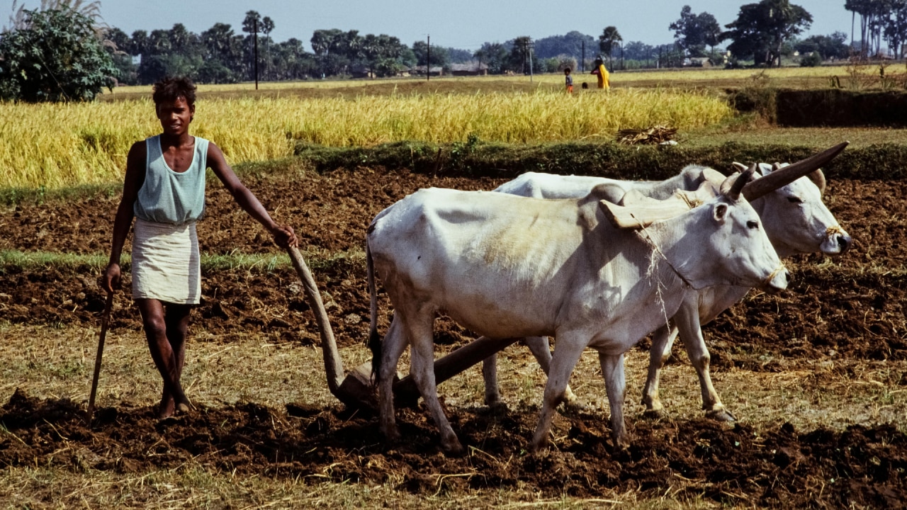 प्रवासी श्रमिकों की संख्या