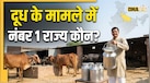 भारत के किस राज्य में सबसे ज्यादा होता है दूध का उत्पादन? ये स्टेट अकेले पूरा कर रहा 16% डेयरी जरूरतें