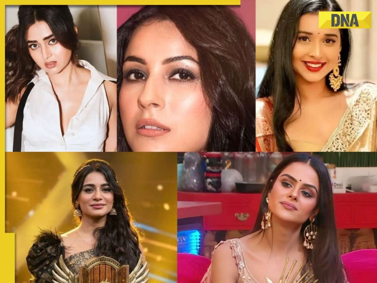 Bigg Boss: From Shehnaaz Gill, Priyanka Chahar Choudhary to Tanya Mittal; most popular women across the seasons