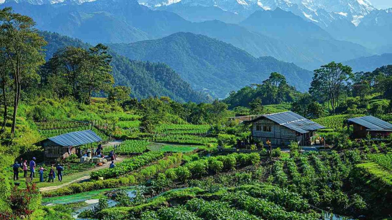 सिक्योरिटीज और डिविडेंड की कमाई भी टैक्स फ्री
