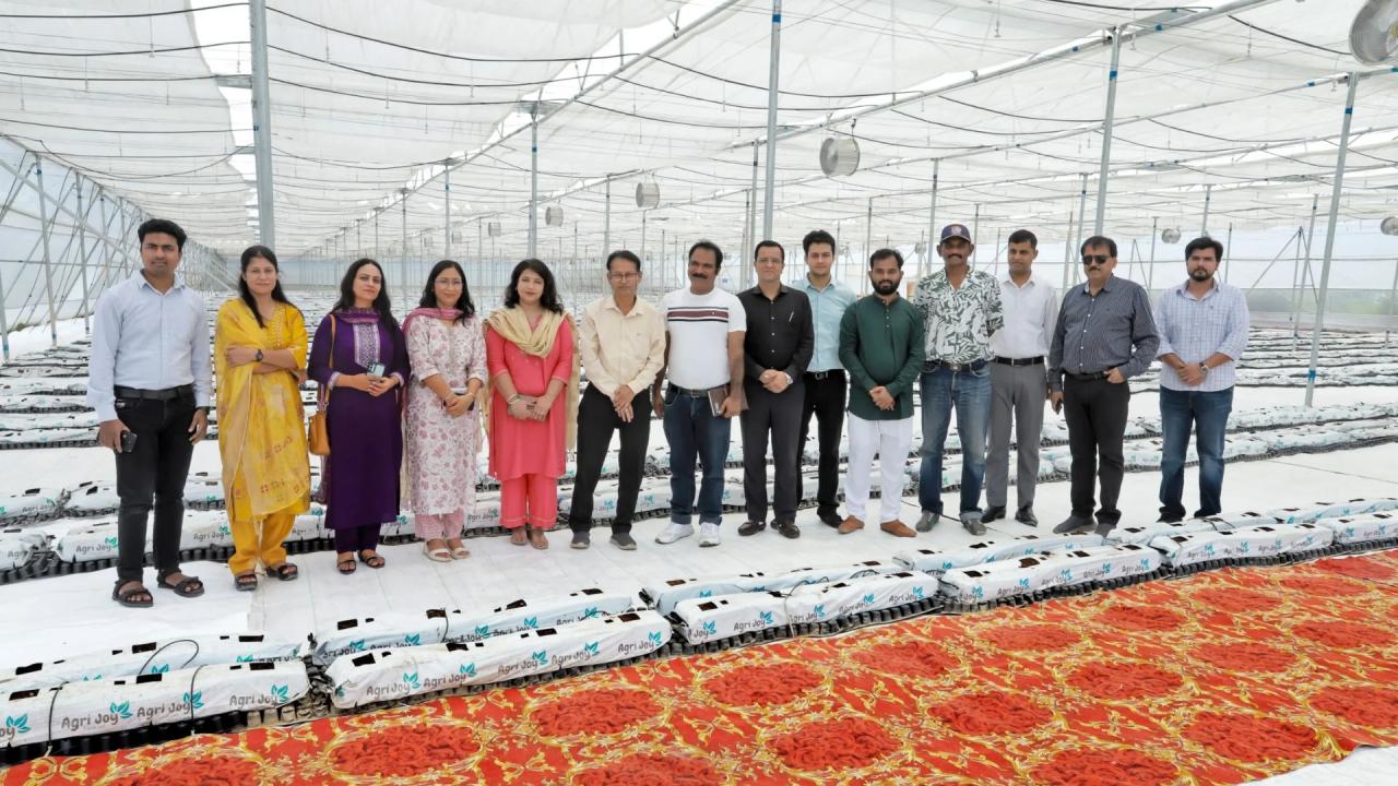 किसानों को होता है बंपर फायदा