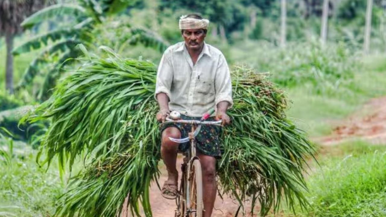 आधिकारिक एक्स हैंडल पर क्या है ताजा अपडेट?