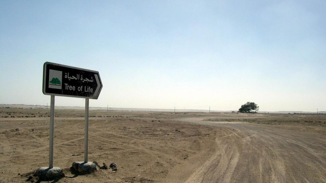 बहरीन का ट्री ऑफ लाइफ