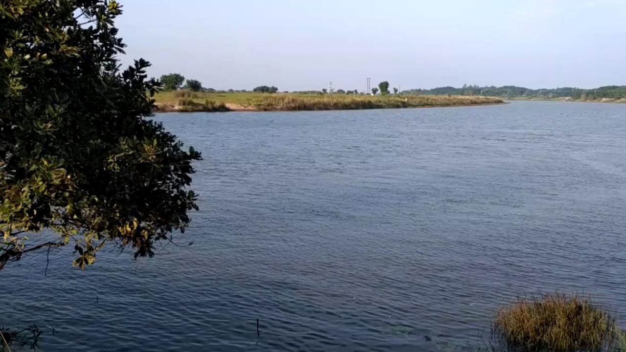 ब्राह्मणी नदी