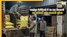 20,000 करोड़ का खेल! प्लाईवुड फैक्ट्रियों में जा रहा किसानों का सब्सिडी वाला यूरिया, खुफिया कैमरे में कैद हुए लुटेरे