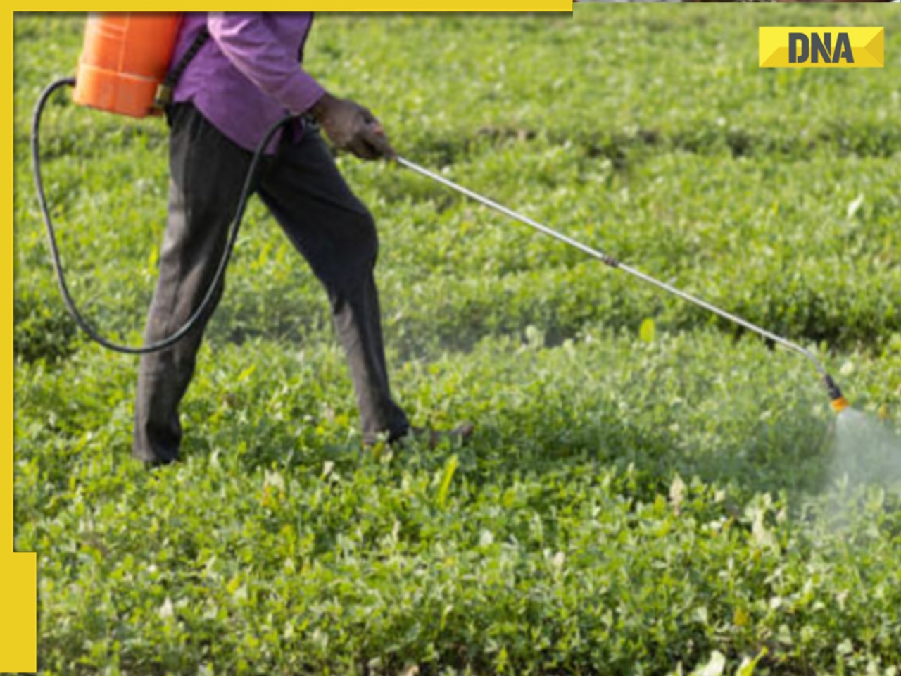 Is China hoarding fertiliser amid Iran war? Is it a warning sign for India?