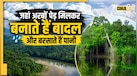 दुनिया का वो जंगल जो खुद करवाता है बारिश! पेड़ बनाते हैं बादल, जानें कैसे काम करता है ये 'नेचुरल वॉटर पंप'