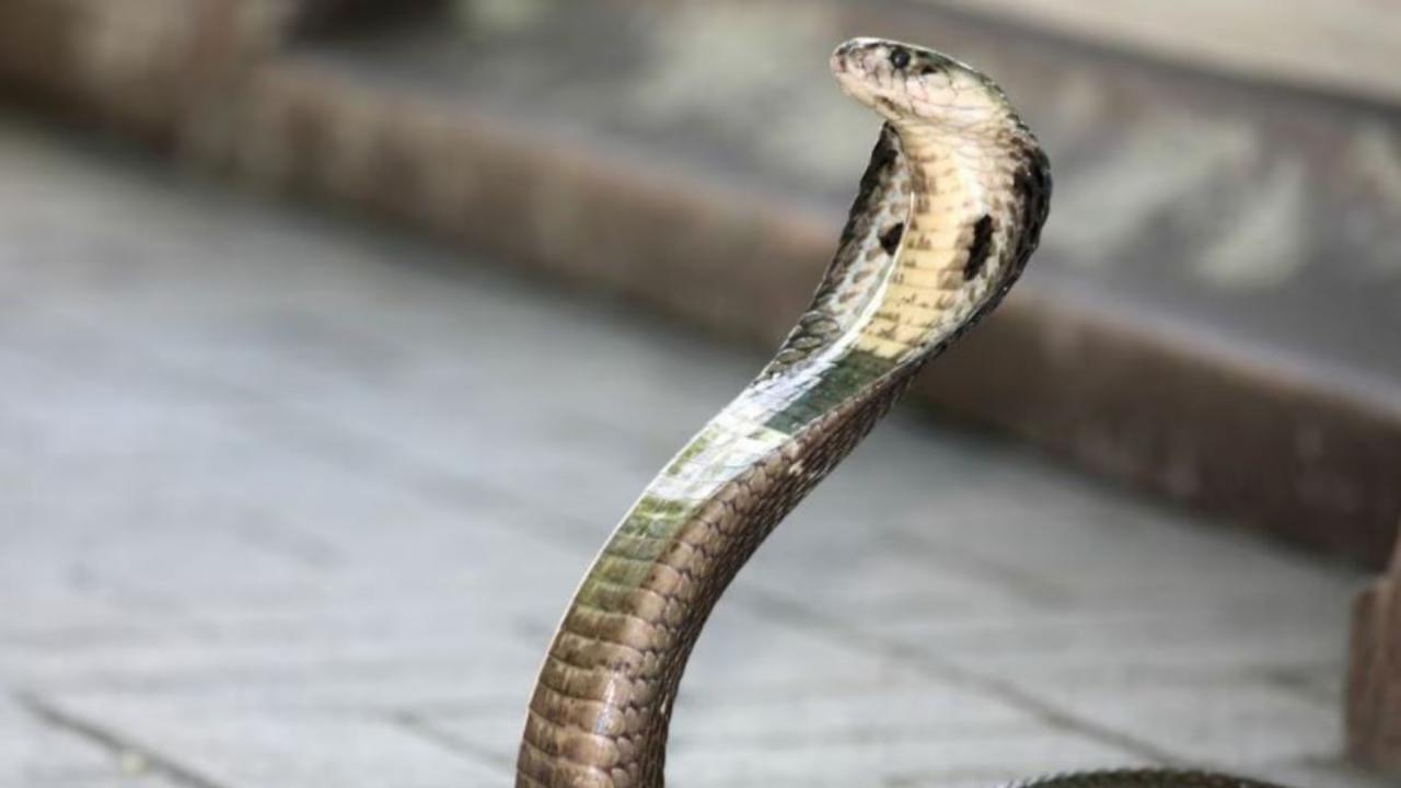 गहने और कसे हुए कपड़े हटाएं