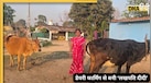 60 हजार लोन लेके शुरू किया सफर! आज सालाना ₹3.5 लाख का टर्नओवर, जानिए ‘लखपति दीदी' की कामयाबी का मंत्र