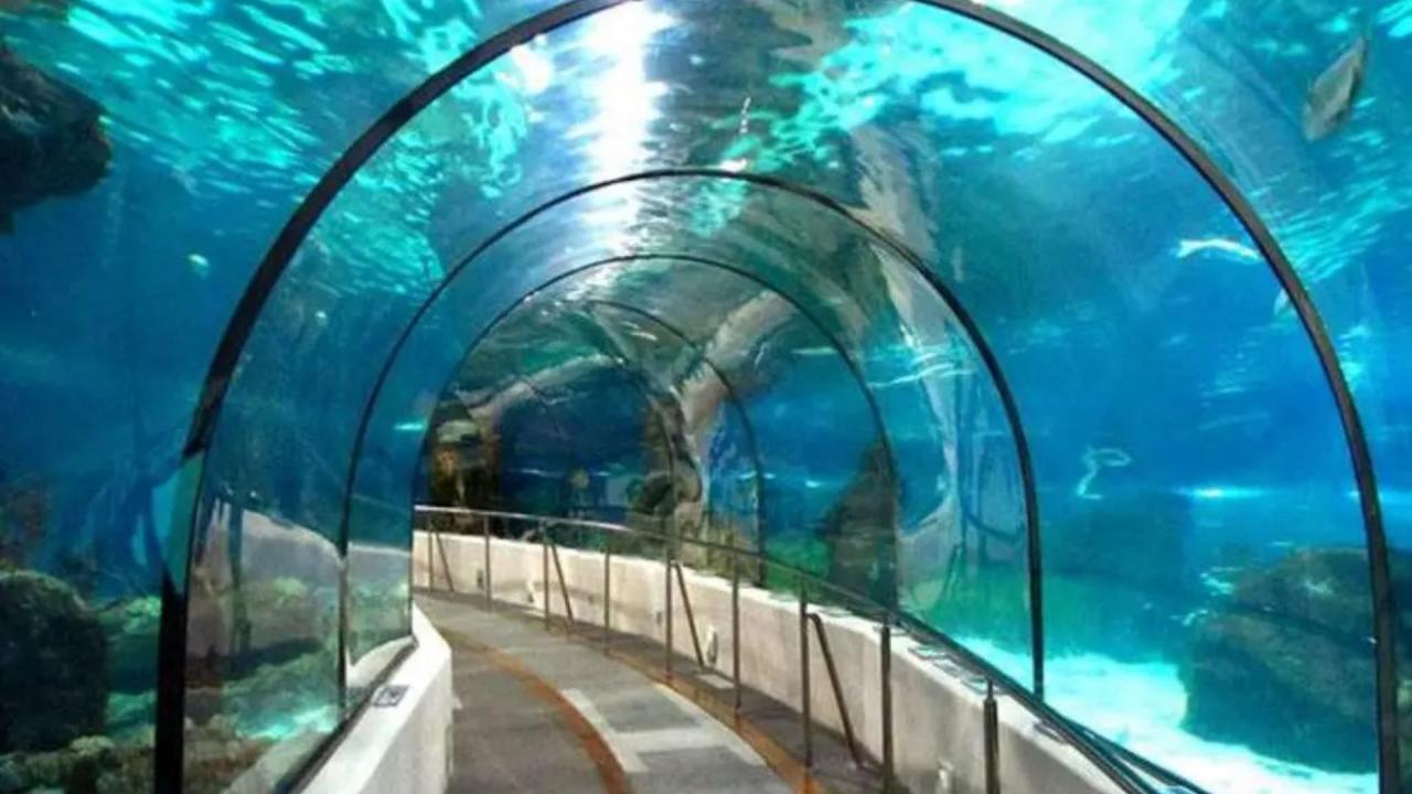 ईस्ट-वेस्ट मेट्रो टनल (East-West Metro Tunnel)