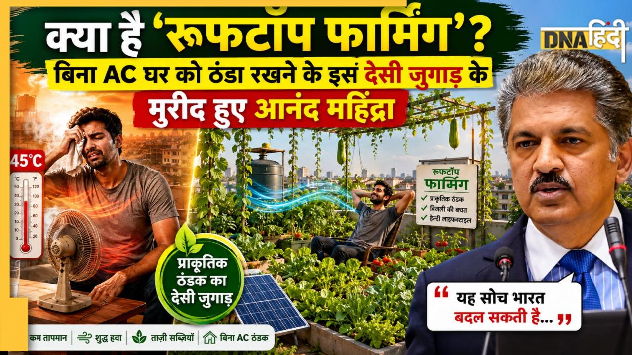 क्या है 'रूफटॉप फार्मिंग'? बिना AC घर को ठंडा रखने के इस देसी जुगाड़ के मुरीद हुए आनंद महिंद्रा