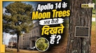 क्या हैं रहस्यमयी Moon Tree? जानें अपोलो 14 मिशन के बाद कैसी हो गई इन पेड़ों की हालत