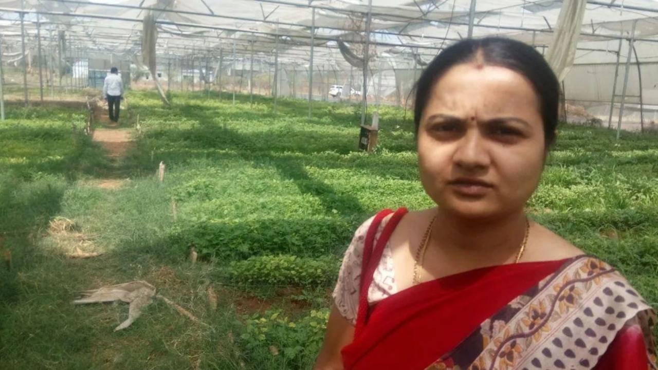 आज कर रहे हैं लाखों की कमाई