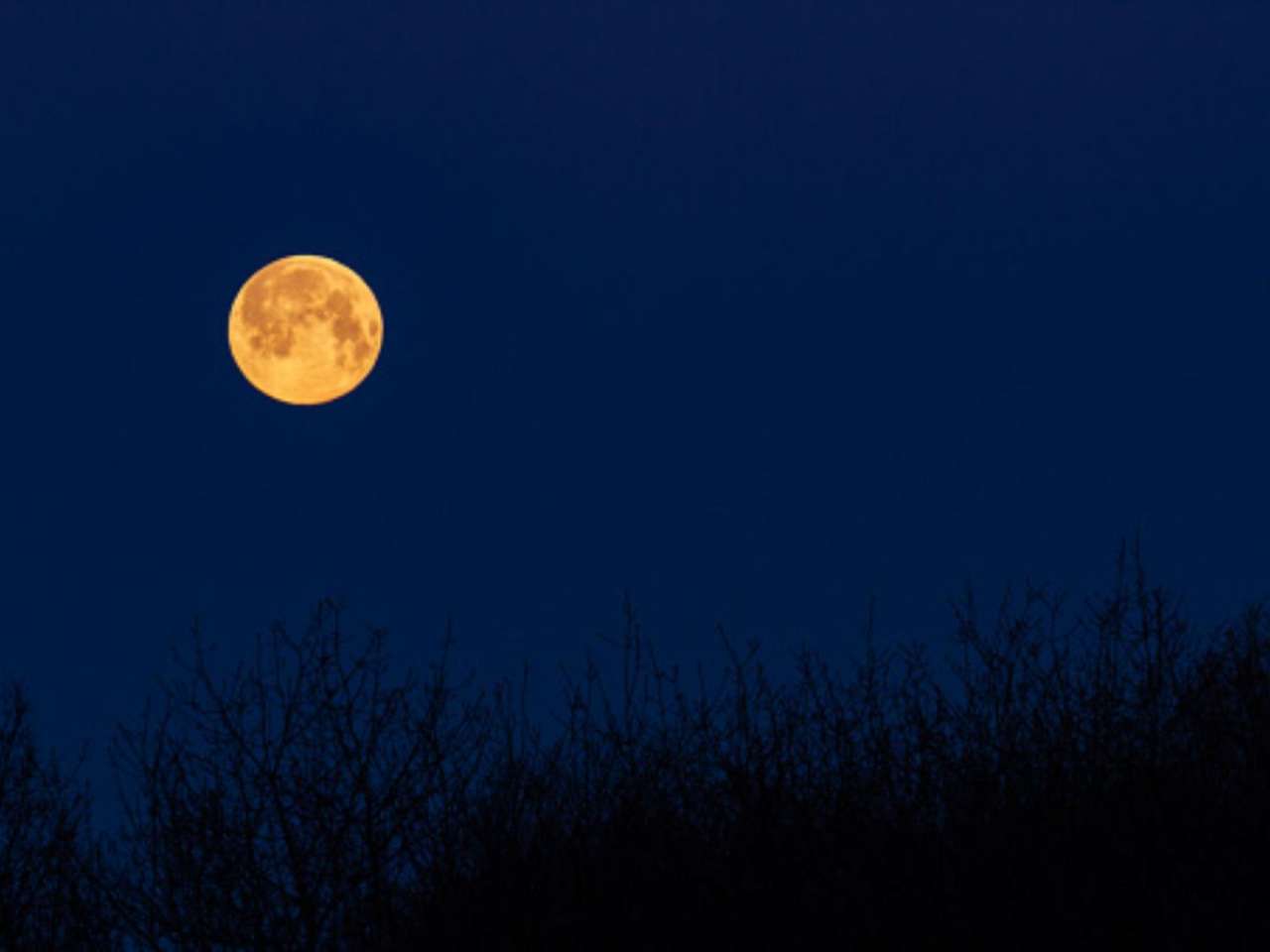 What is Blue Moon? Rare bright moon to be seen on May 31; Check timing in India, more here