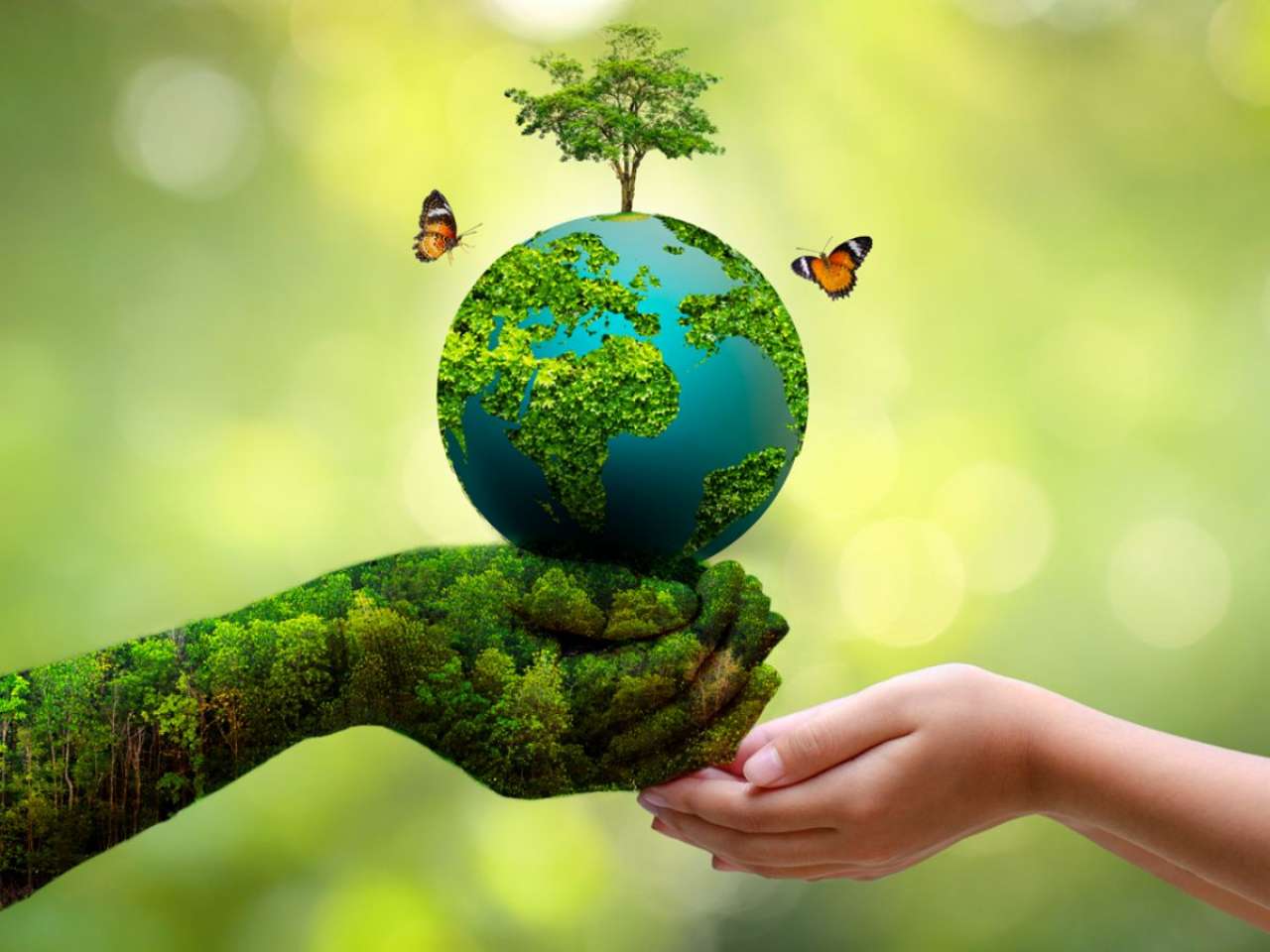 Why is World Environment Day celebrated on 5 June? WHO’s ‘Climate Action’ theme explained