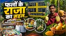 भारत में कहां-कहां हैं मैंगो म्यूजियम? आम प्रेमियों के लिए ये जगहें किसी खजाने से कम नहीं