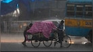 Kal Ka Mausam: भारी बारिश-आंधी का अलर्ट, 70 की रफ्तार से चलेंगी हवाएं, जानिए कल कैसा रहेगा आपके राज्य का मौसम?