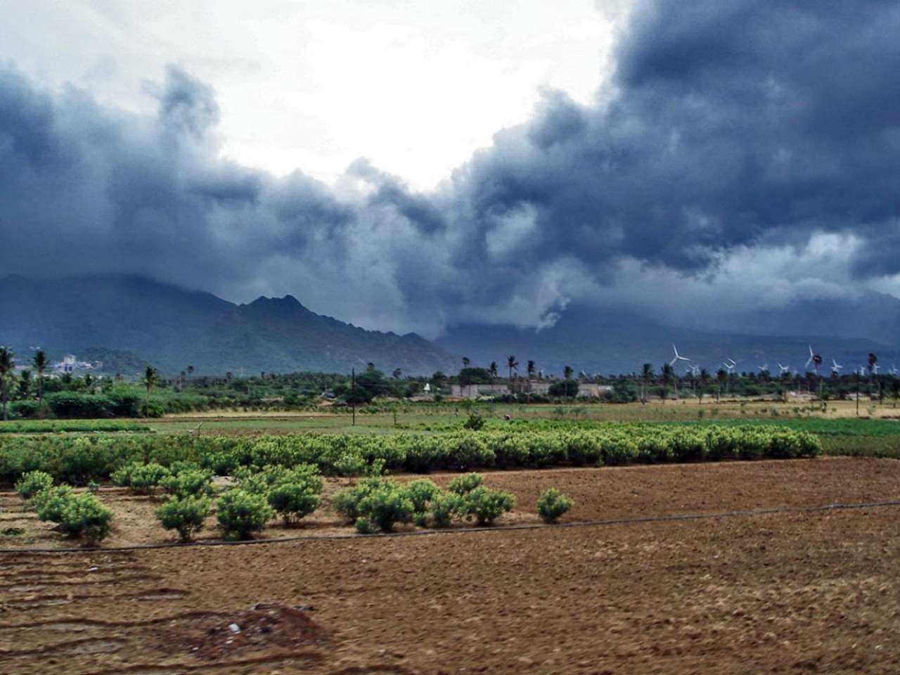 Has El Nino Hit India? How climate phenomena can impact India’s monsoon, heat and economy