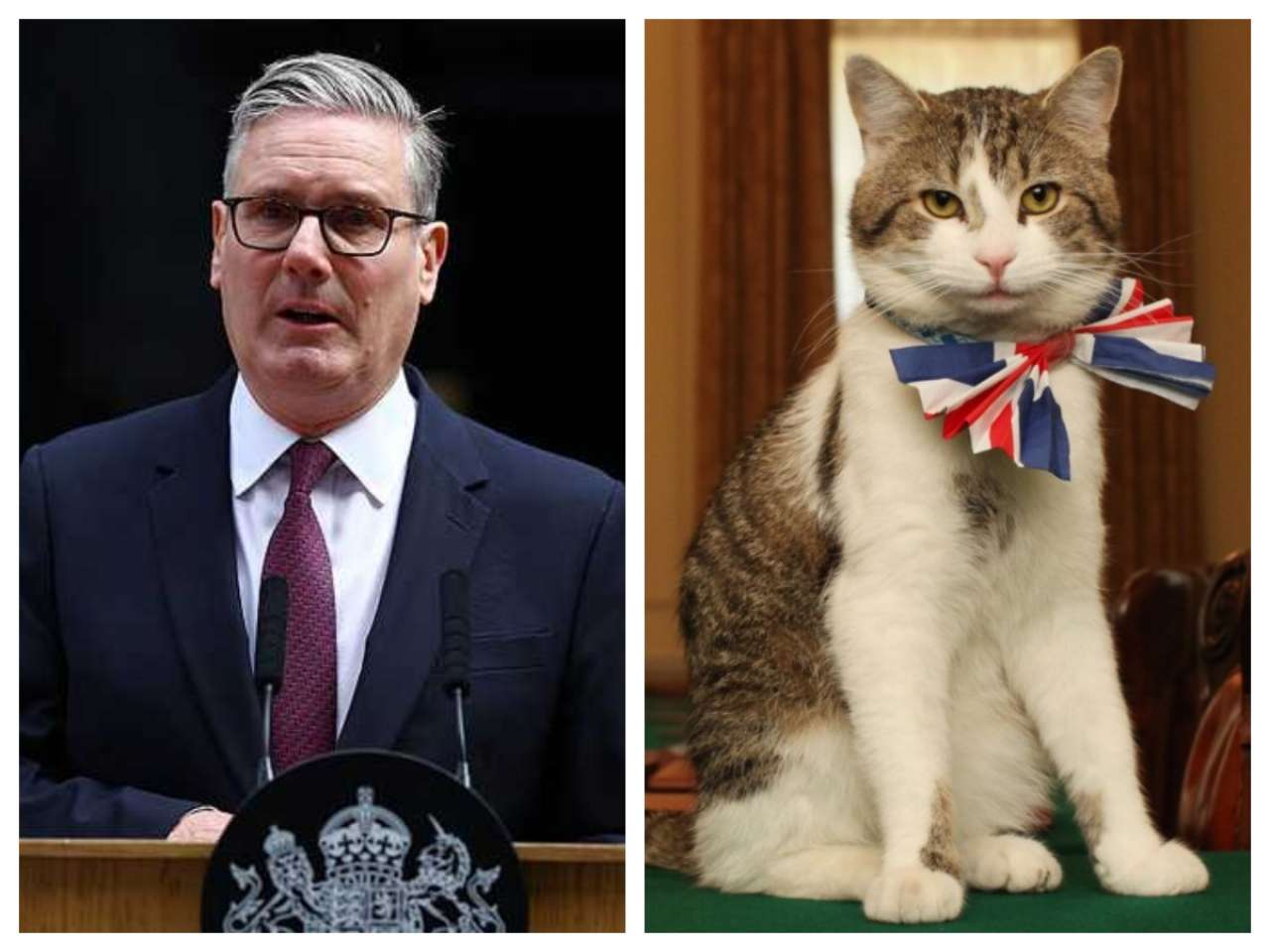Who is Larry the Cat? 10 Downing Street's chief mouser awaits seventh PM after Keir Starmer's exit
