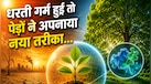 ग्लोबल वॉर्मिंग से लड़ने के लिए पेड़ों ने बनाया 'बैकअप प्लान', PIF4 प्रोटीन के इस राज ने वैज्ञानिकों को भी किया हैरान