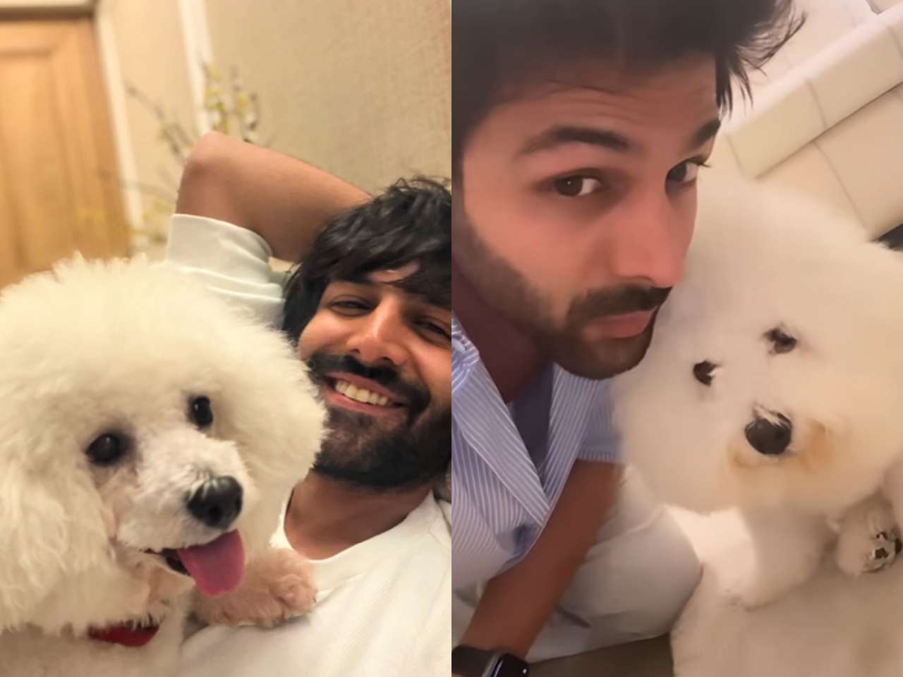 After Shraddha Kapoor, Mrunal Thakur, Janhvi Kapoor; Kartik Aaryan joins the Inaam trend - Watch viral video