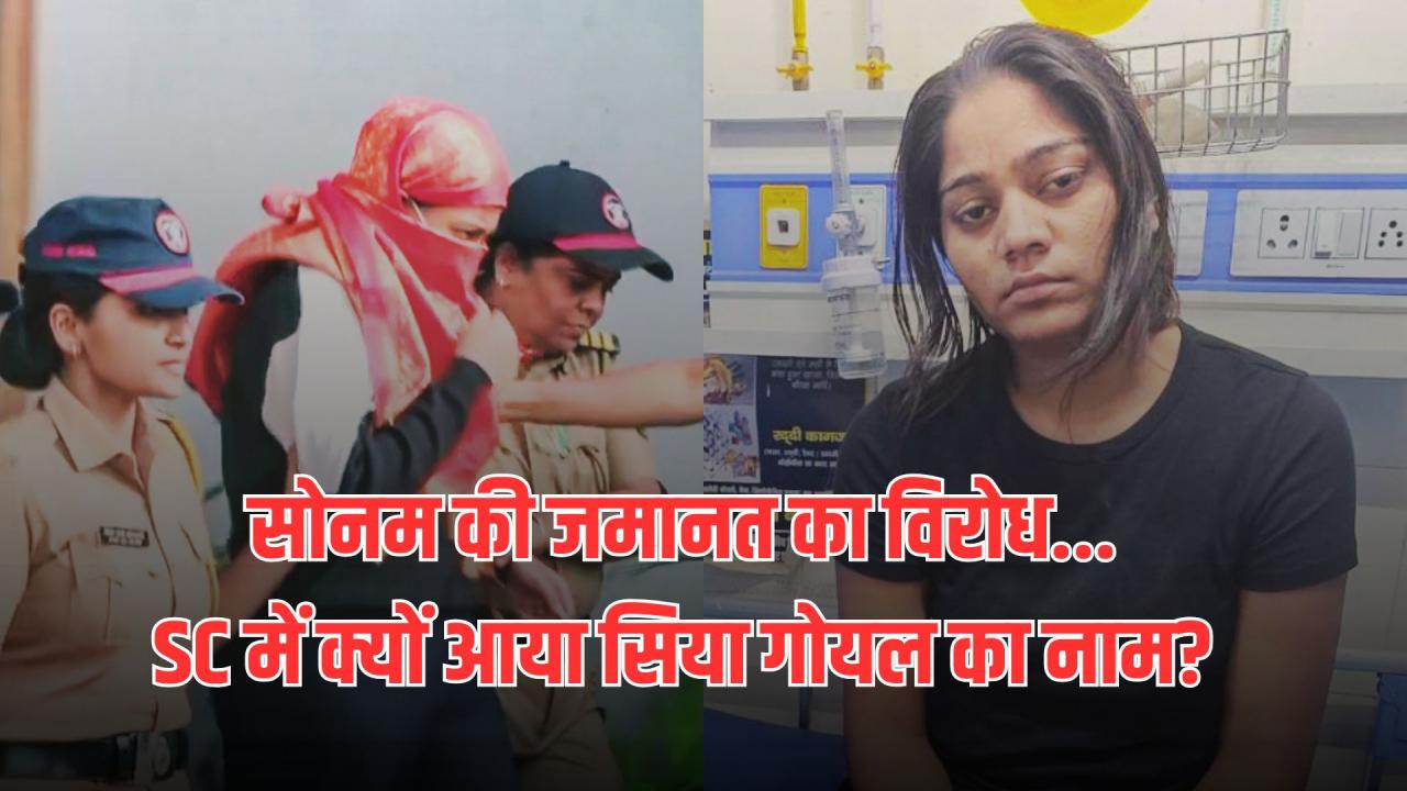 'विग के लिए मंगेतर को मार दिया, ये तो ज्यादा ही...', सोनम रघुवंशी और सिया गोयल पर तुषार मेहता की SC में अहम टिप्पणी