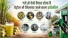 पेट्रोल में मिलने वाला E20 फ्यूल आखिर बनता कैसे है? जानें गन्ने से इथेनॉल बनने की पूरी साइंस