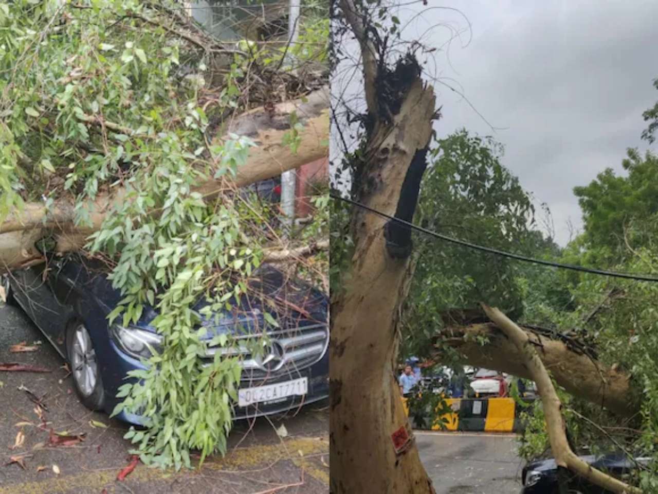 Monsoon Mayhem In Delhi: Mercedes gets smashed as tree collapses on it in East of Kailash