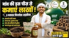 Business Idea: मुफ्त में मिलने वाली इस चीज का बिजनेस बना देगा लखपति, 'काले सोने' के रोजगार के लिए सरकार दे रही है भारी सब्सिडी