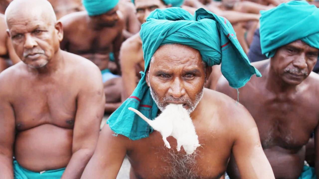 किसानों का अनोखा प्रदर्शन (2017)