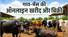 दो रूममेट का कारनामा, गायों-भैसों के लिए बनाया ऐप और बन गईं 565 करोड़ रुपये की मालकिन, पढ़ें IIT गर्ल्स की कहानी
