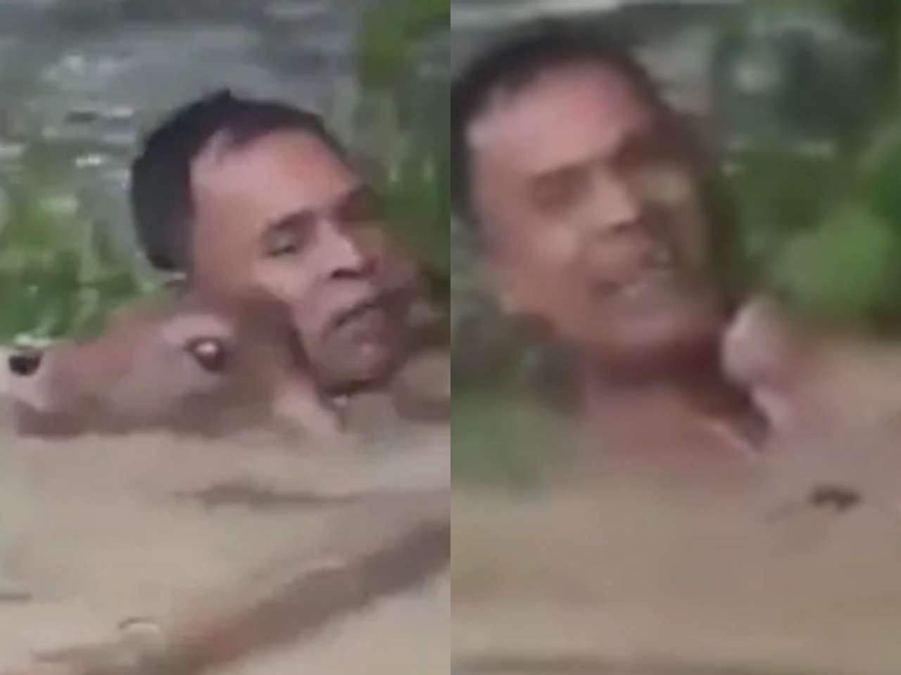 Assam Flood: Man goes into neck-deep floodwater to rescue calf, netizens call him 'real hearo', watch viral video