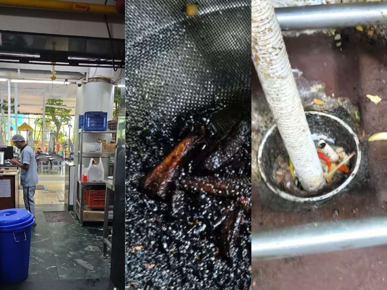 Cockroach infestation, poor sanitation, improper food storage: How 5 Mumbai clubs violated FDA Food Safety norms?