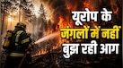 जर्मनी के जंगलों में फट रहे हैं द्वितीय विश्व युद्ध के बम; जानें यूरोप में आग बुझाने में क्यों आ रही है अड़चनें?