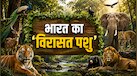 भारत का National Heritage Animal कौन? बाघ वाला जवाब होगा गलत, जानें सही नाम
