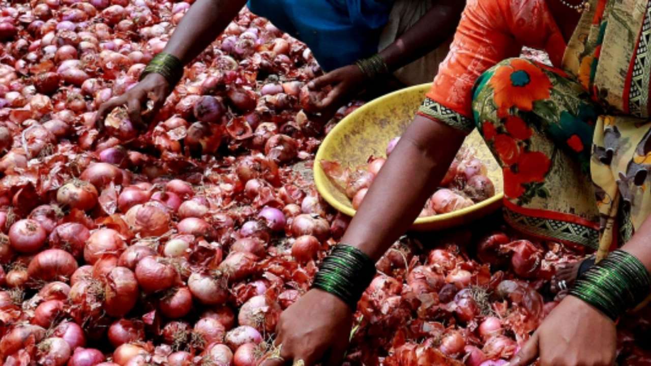 'No onion shortage in Delhi': 1,000 MT from centre to be sold at Rs 35/kg across 13 districts, says CM Rekha Gupta