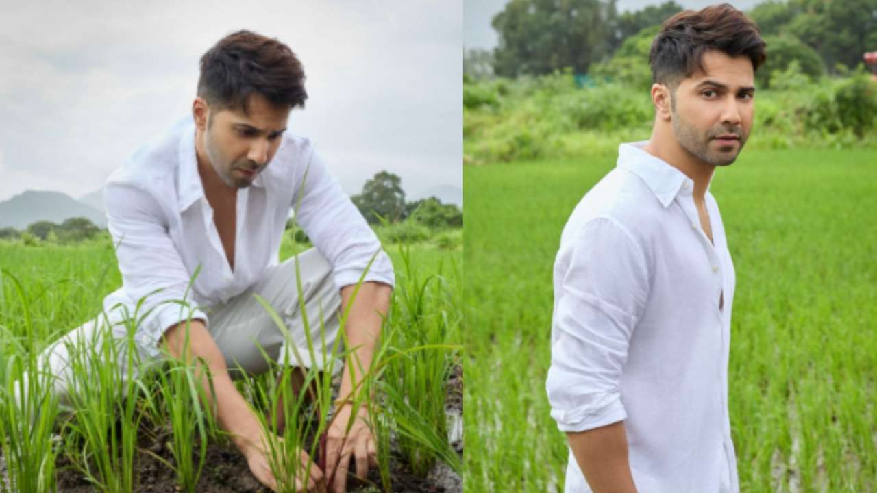 Varun Dhawan starts 'kheti' as he shares photos from his new farm, netizens call him 'farmer of the year'