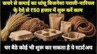 Business Idea:पराली और नारियल के रेशे से घर बैठे करें कमाई, 50 हजार में लगाएं यूनिट-सरकार देगी ट्रेनिंग; ठेले से रेस्टोरेंट तक है डिमांड