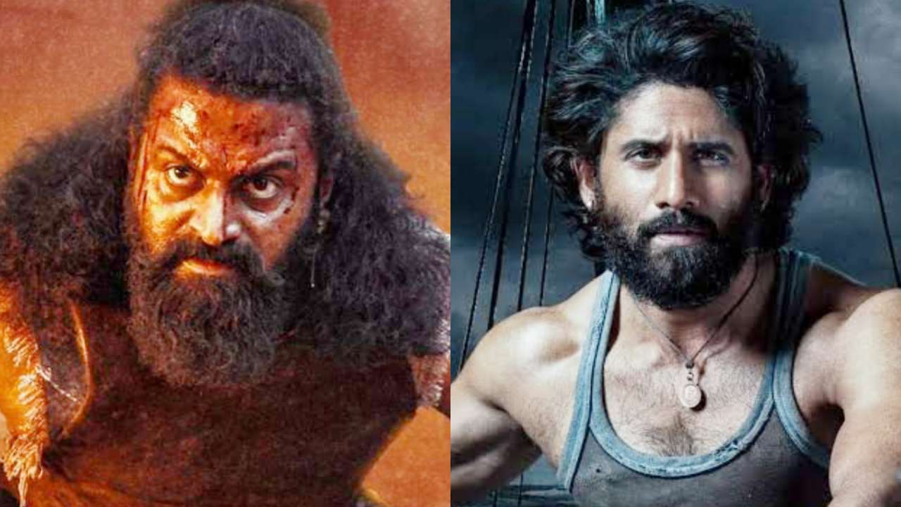 SIIMA 2026 winners list: Kantara Chapter 1 wins Best Film; Rishab Shetty, Naga Chaitanya bag top acting honours