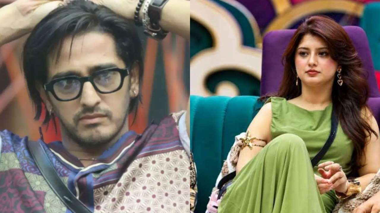 Bigg Boss 20: Qazi Touqeer becomes matchmaker between Arishfa Khan and BTS' V | ARMY reacts