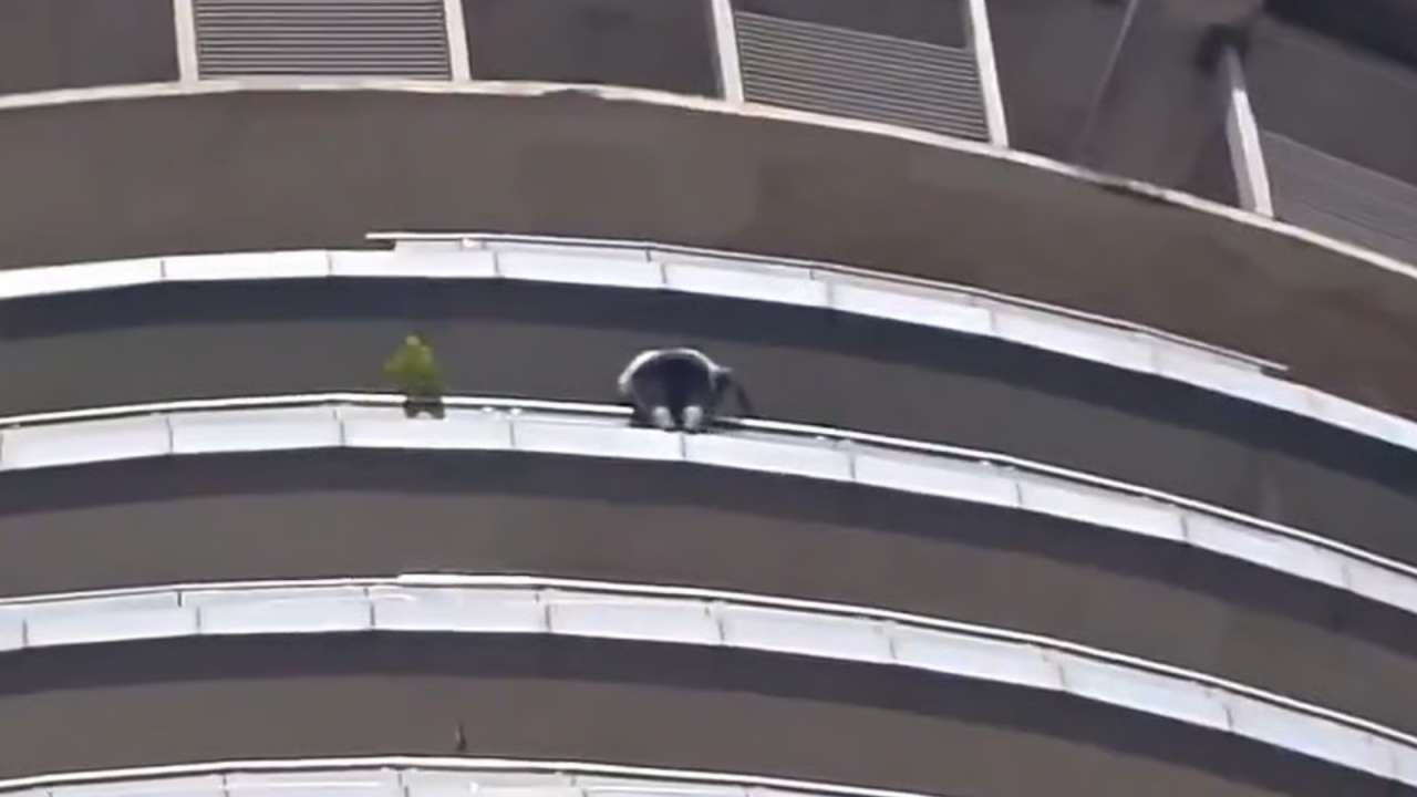 Noida: Man dies after fall from 43rd floor of Supernova Tower, probe on