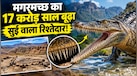 जुरासिक काल का वो अनोखा जीव जिसके जबड़े में छिपी थी 'सुइयों की फौज', मोरक्को की पहाड़ियों से खुला राज