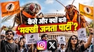 'कॉकरोच' के बाद पॉलिटिक्स में 'मक्खी' की एंट्री! अब CJI के किस कमेंट से बन गई 'मक्खी जनता पार्टी'? जानें सबकुछ