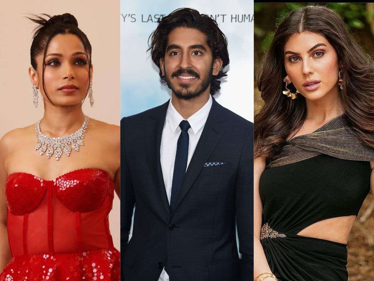 dnaindia.com - Simran Singh - Hollywood without borders: From Dev Patel, Freda Pinto to Riz Ahmed, Elnaaz Norouzi; international actors shining bright in West