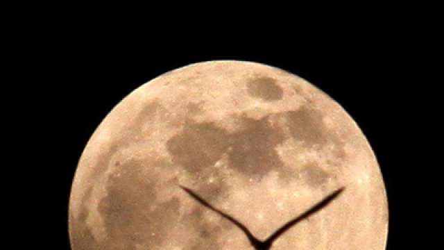 Why Full Moon Turns Everyone Into Lunatics