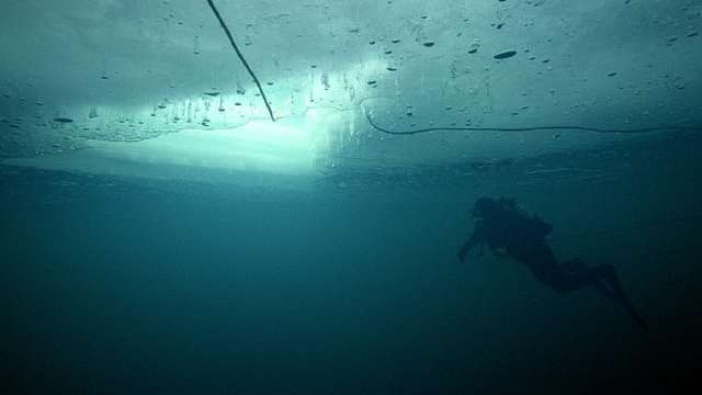 Artificial blubber” protects divers in frigid water