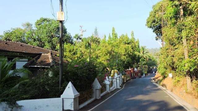 Exploring Goa's hidden side: Assagao is a village that offers a totally  different experience