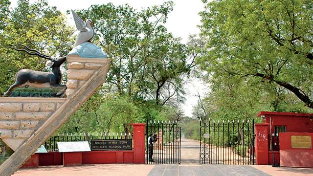 Keoladeo National Park Keoladeo National Park