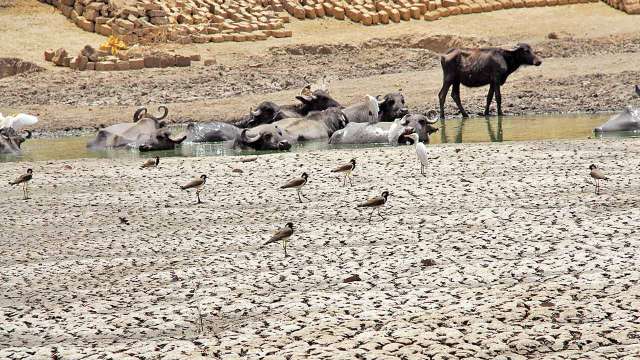 Scarcity-hit Scarcity-hit